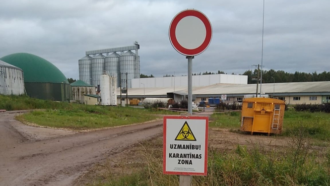 baltic pork
