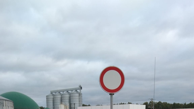 Baltic Pork