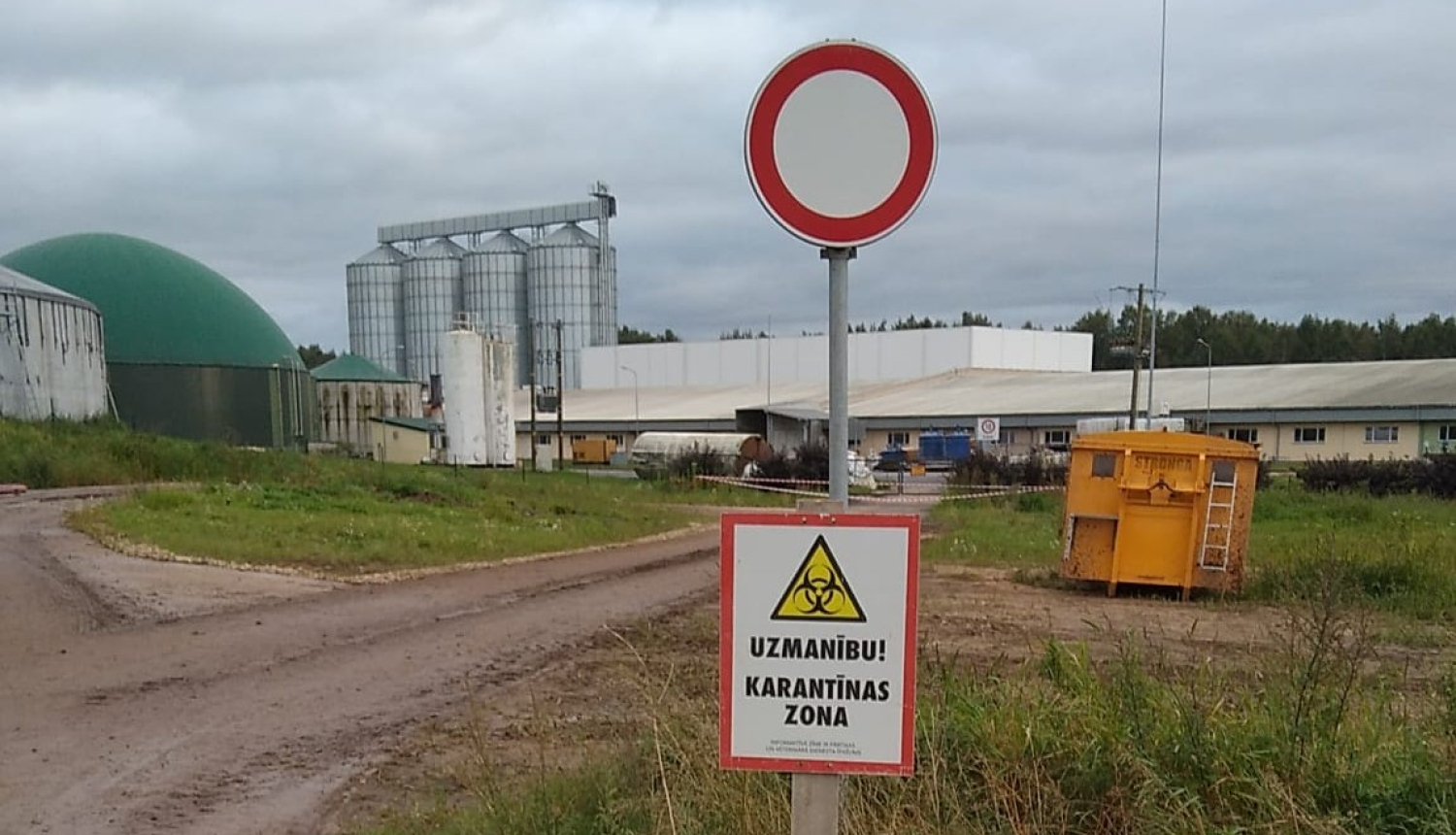 baltic pork