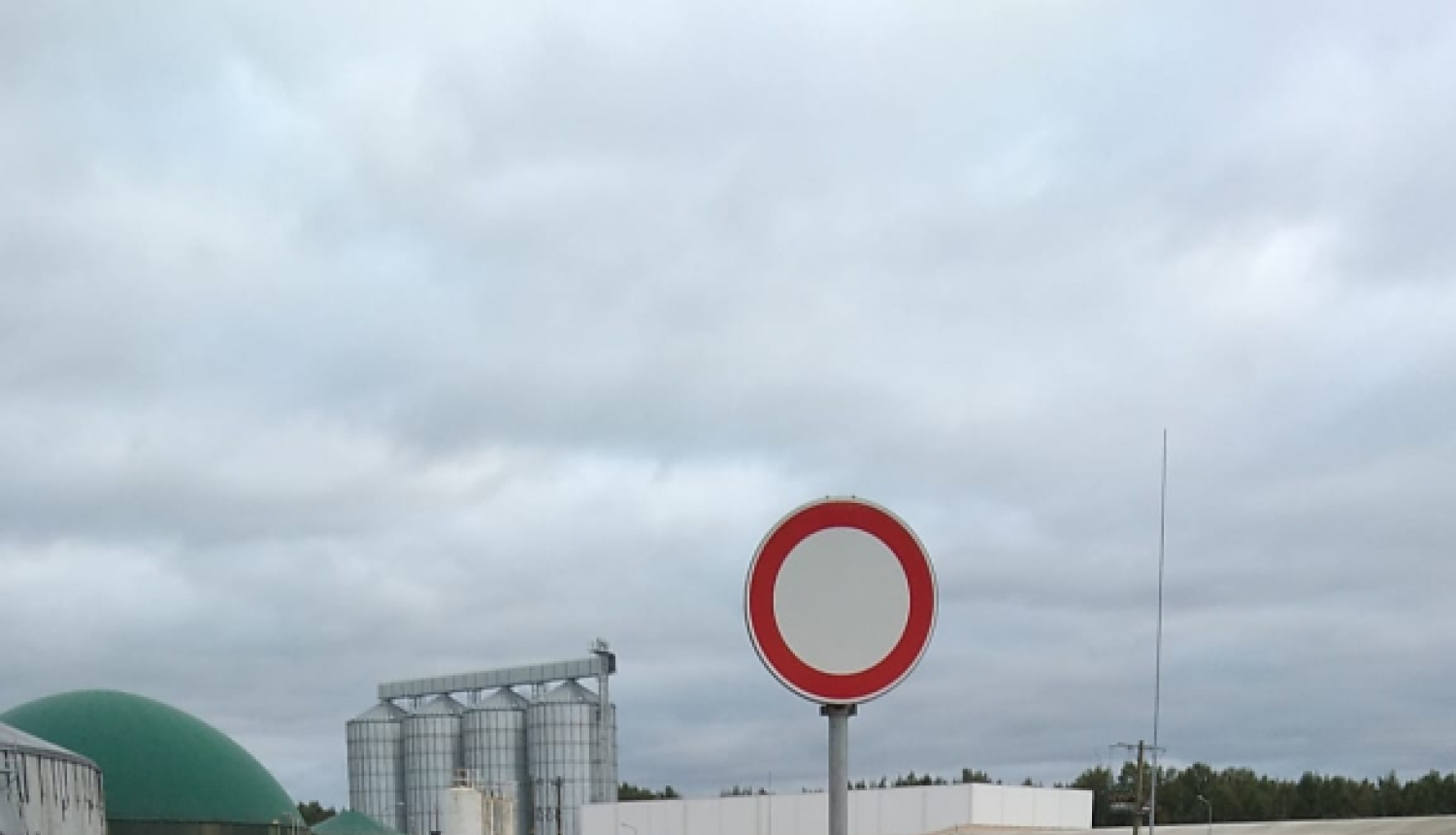 Baltic Pork