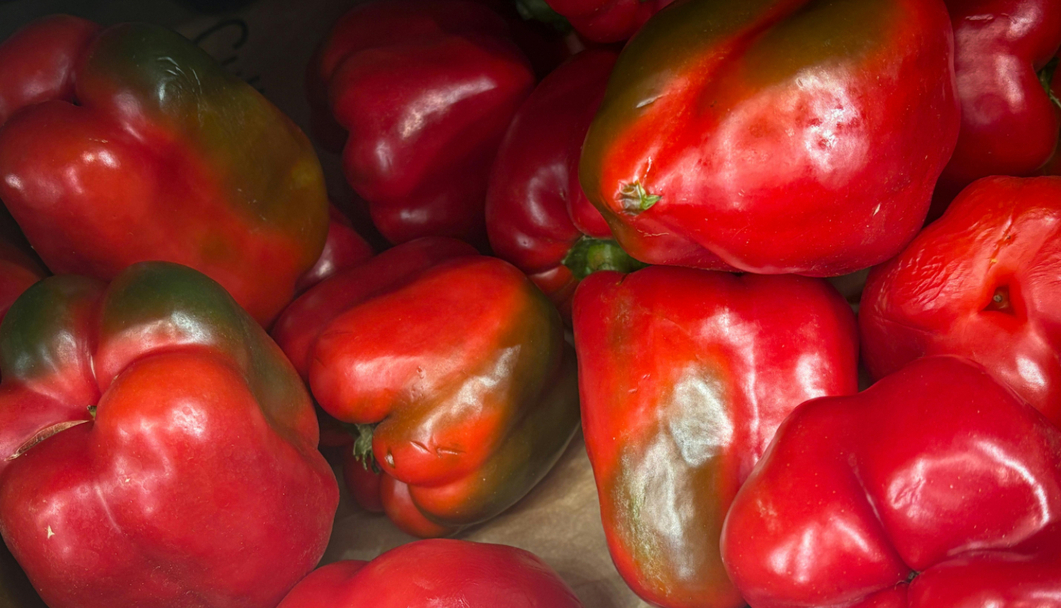 paprika