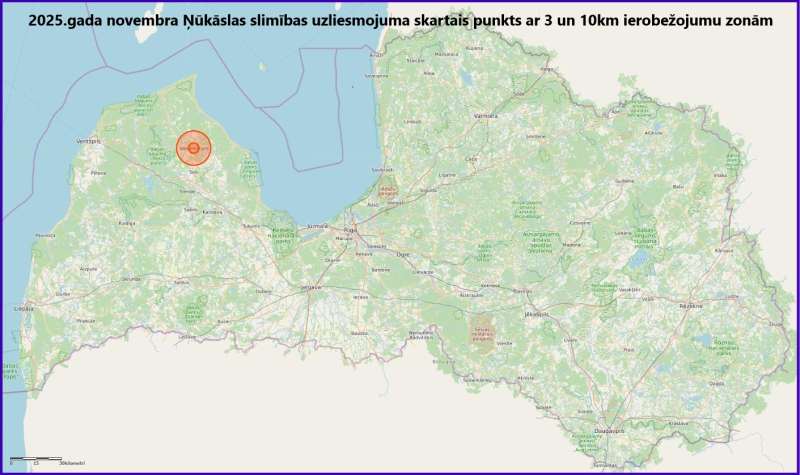 Ņūkāslas slimības uzliesmojums 2025