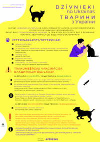 Dzīvnieki no Ukrainas pie veterinārārsta