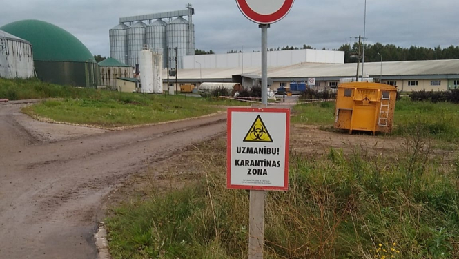 baltic pork