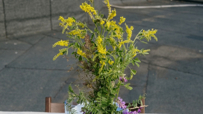 2023_06_21 Jaanjos eed droshi