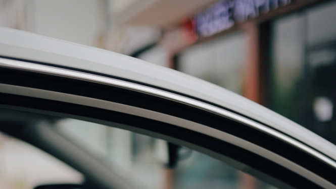 ierobezojumi sunu un kakju ievesanai no tresajam valstim