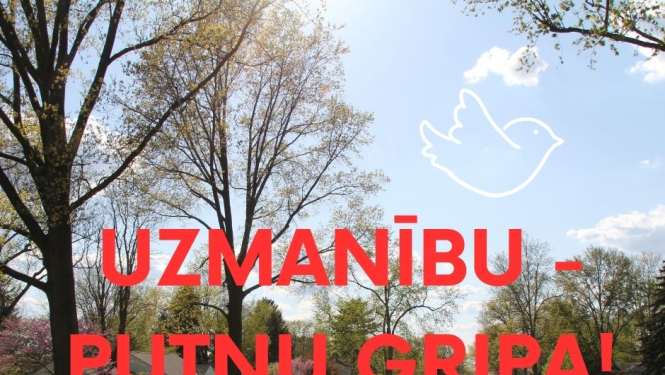 Uzmanību - putnu gripa