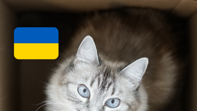 Ceļošana ar mājdzīvnieku no Ukrainas