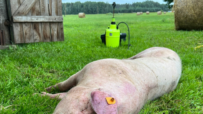 ĀCM Zlēku  pagastā