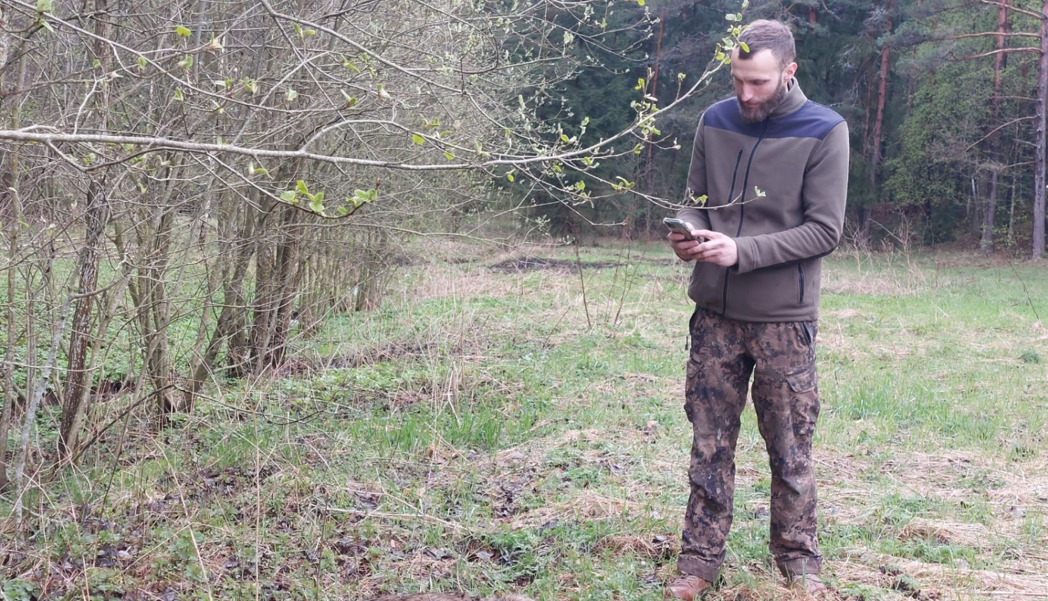 Meža cūku atrašana