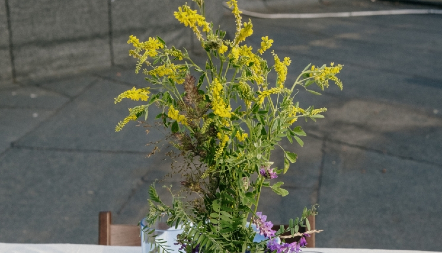 2023_06_21 Jaanjos eed droshi