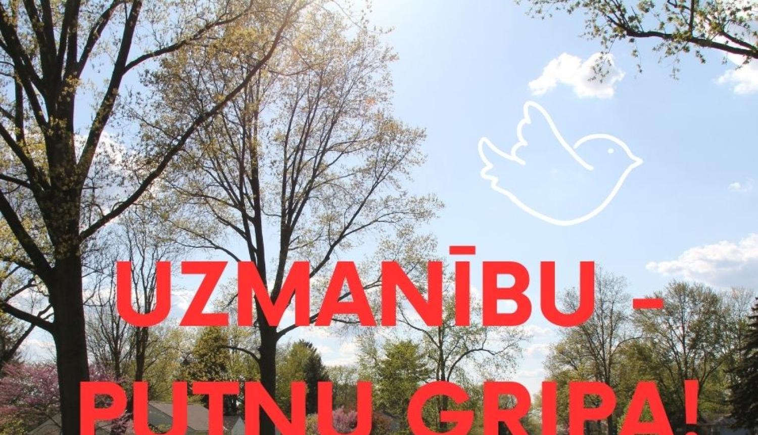 Uzmanību - putnu gripa