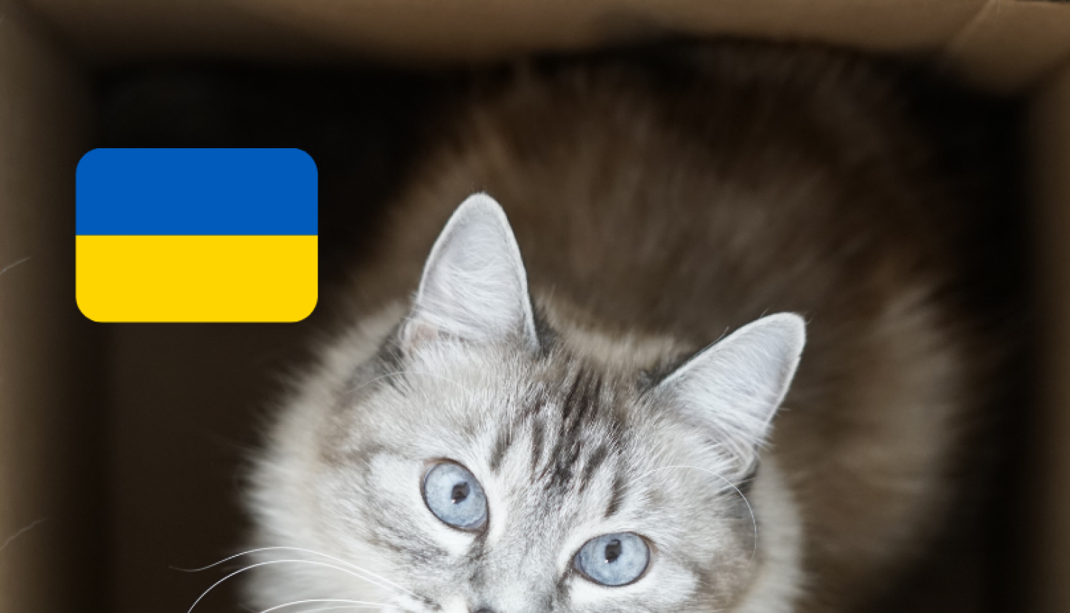 Ceļošana ar mājdzīvnieku no Ukrainas