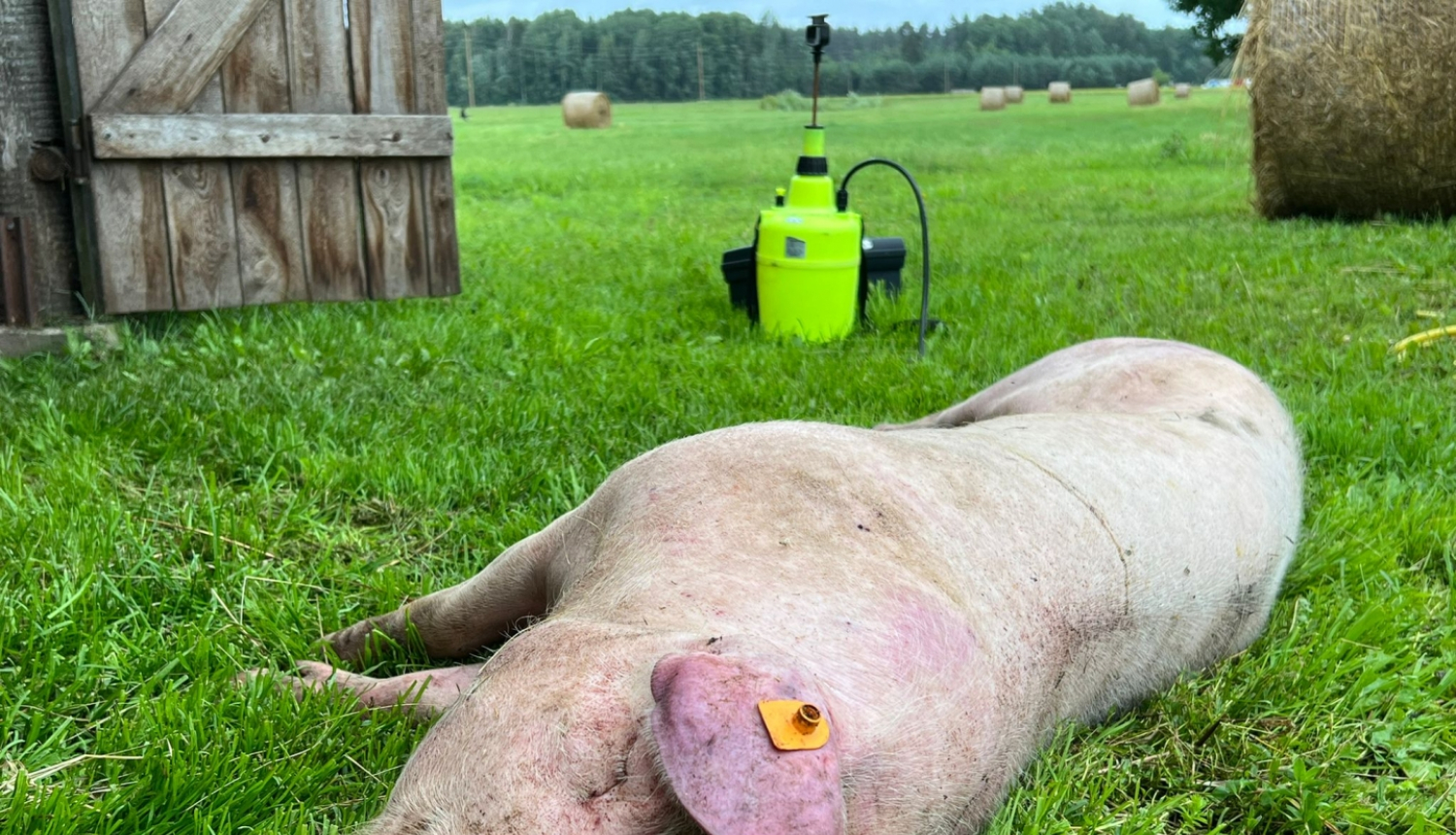 ĀCM Zlēku  pagastā