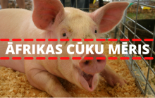Āfrikas cūku mēris