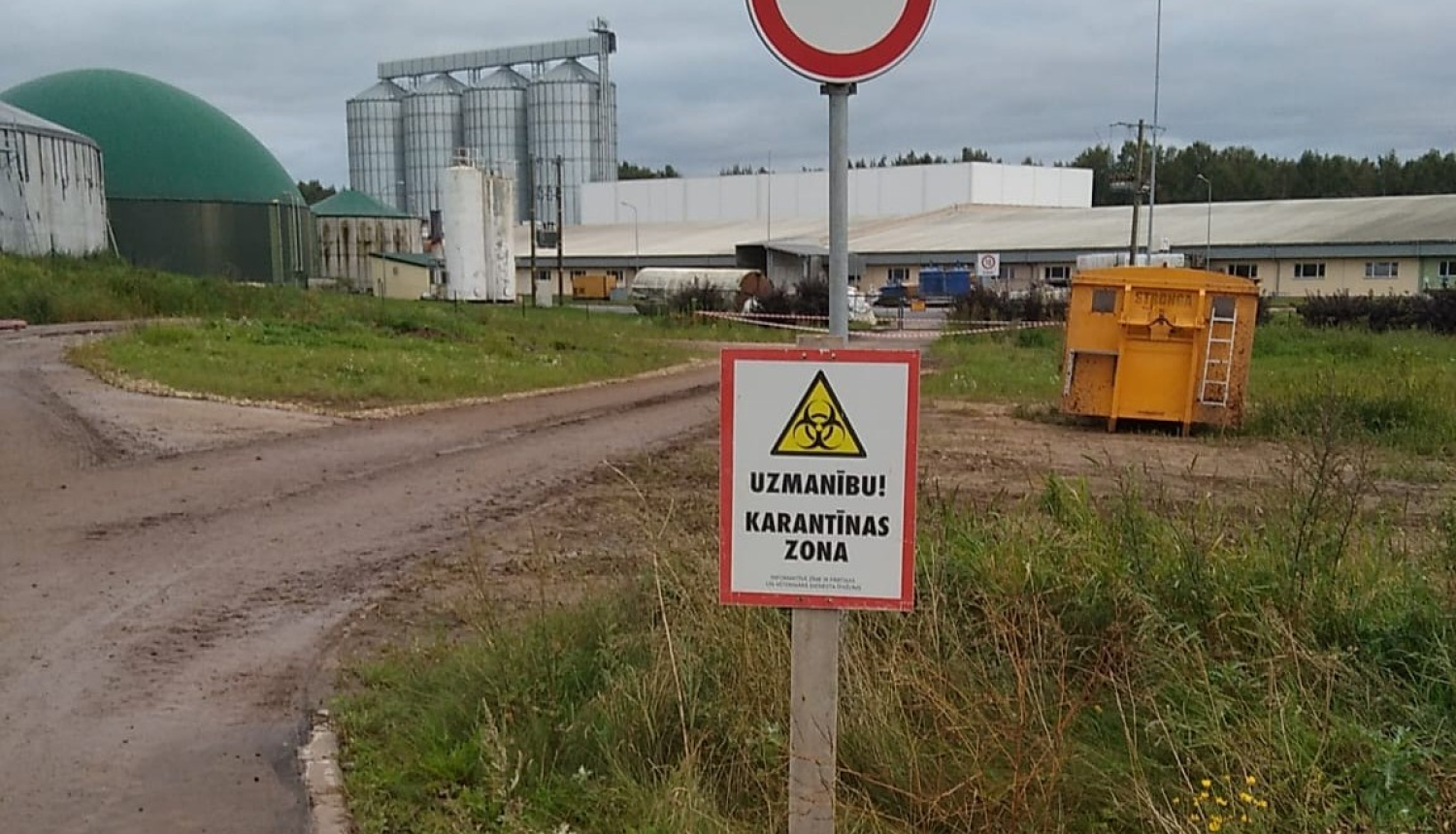 baltic pork