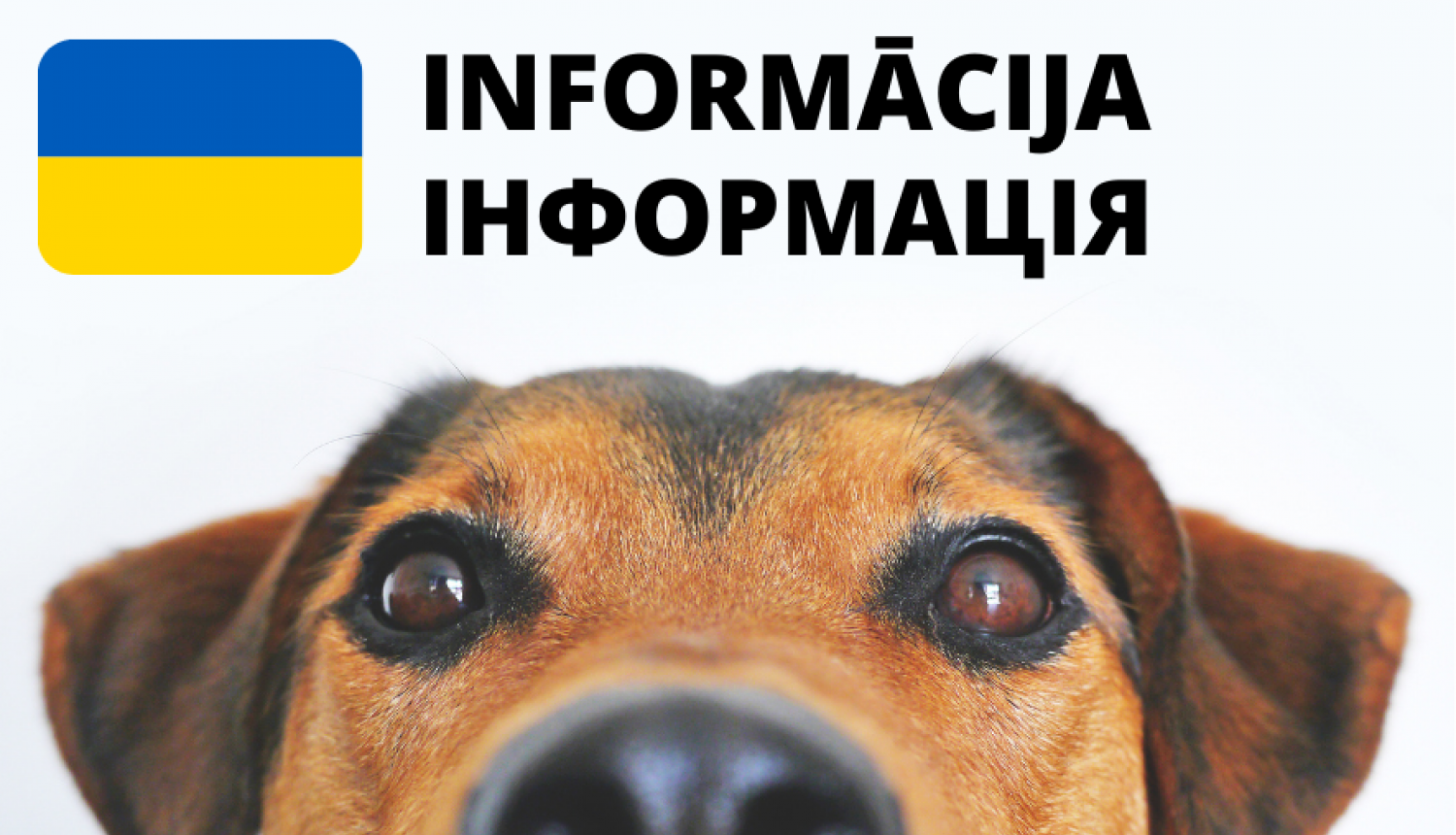 Informācija tiem, kas ieceļo no Ukrainas ar mājdzīvnieku