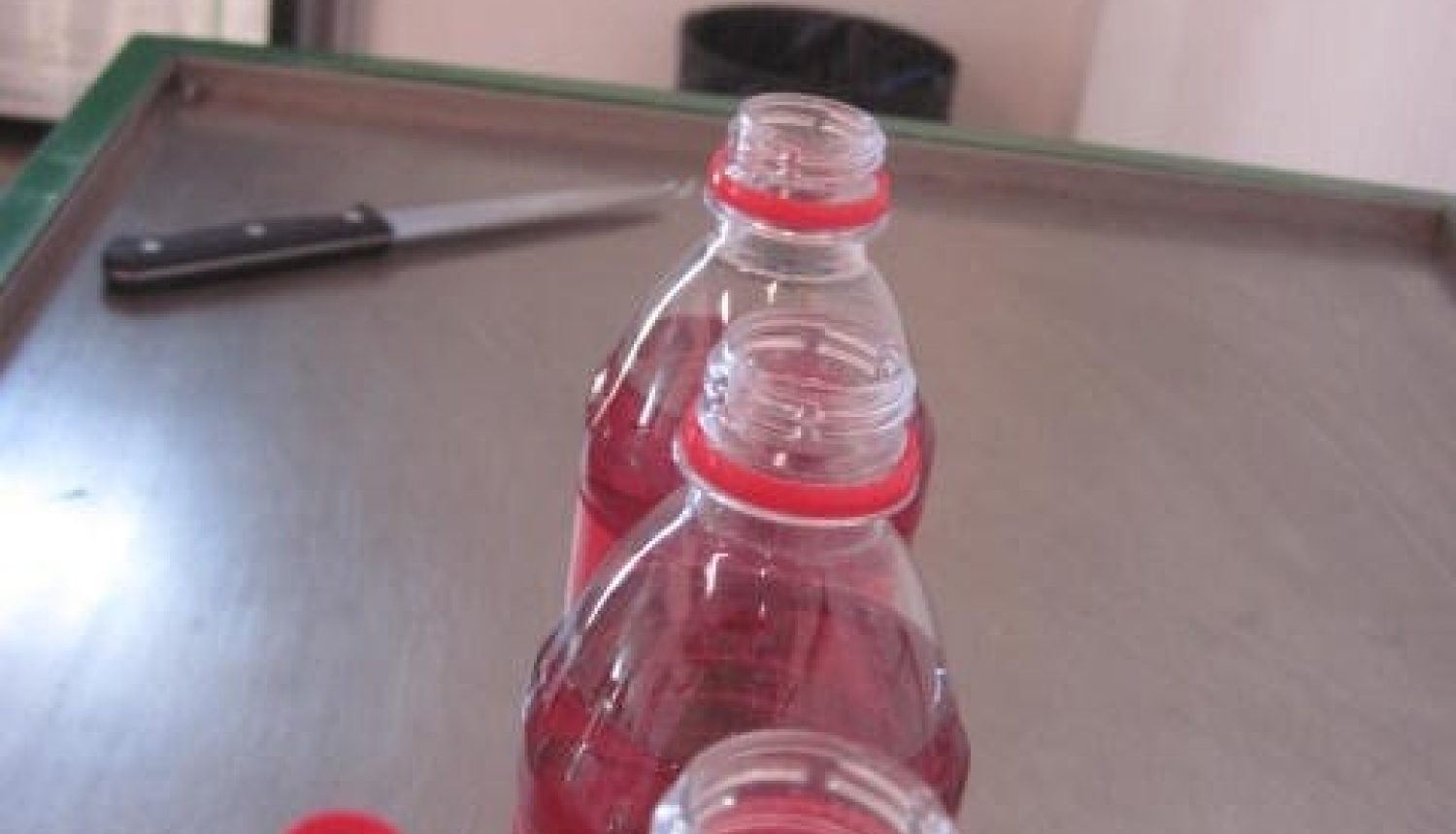 pudeles