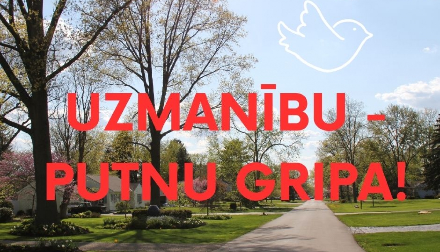 Uzmanību - putnu gripa